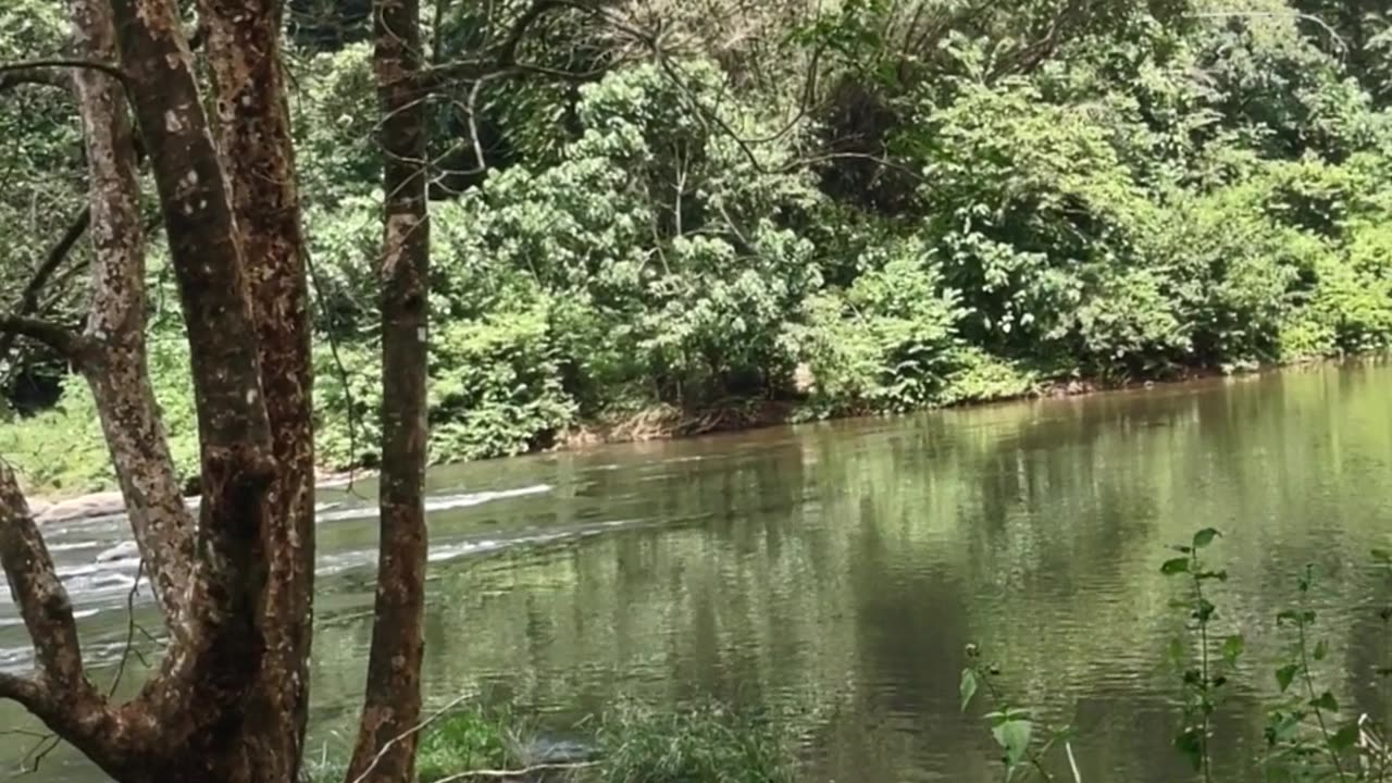 River stream in achankovil Kerala