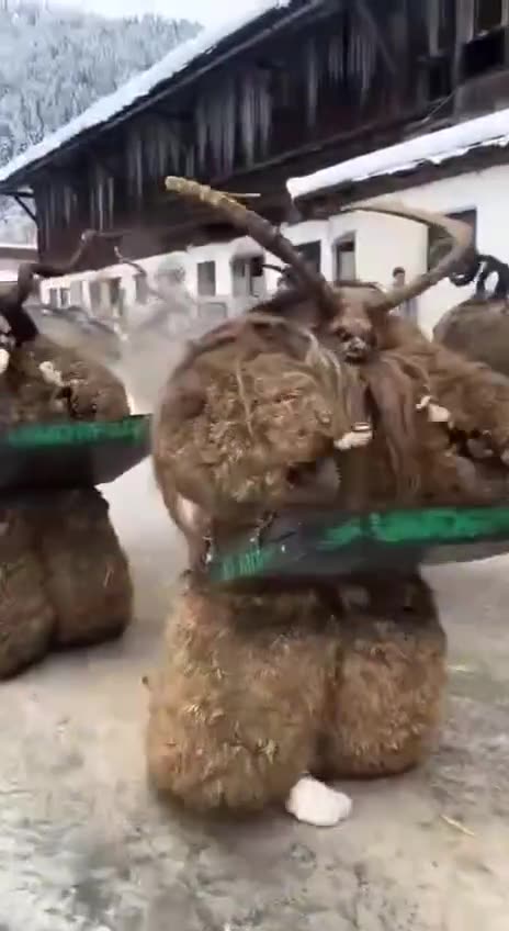 The annual Krampus Christmas parade 😱