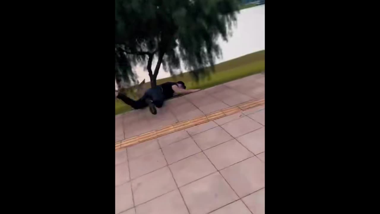 Random Memes