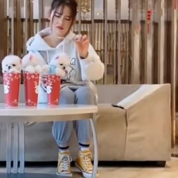 Where is there a pets missing ??🥰 beautiful little pet