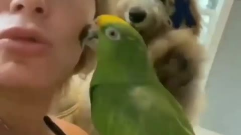 Women playing with parrot and puppy