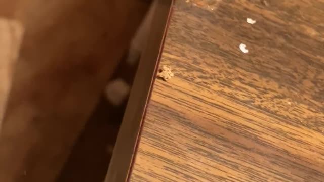 Alcohol and 66 year old cmsd teacher