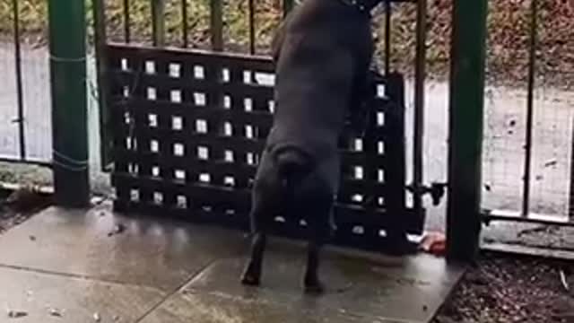 Fuck de police
