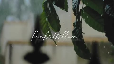 Song