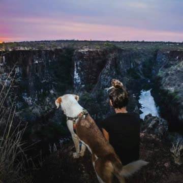 Woman Rescues A Dog In Africa And Travels The World With Her