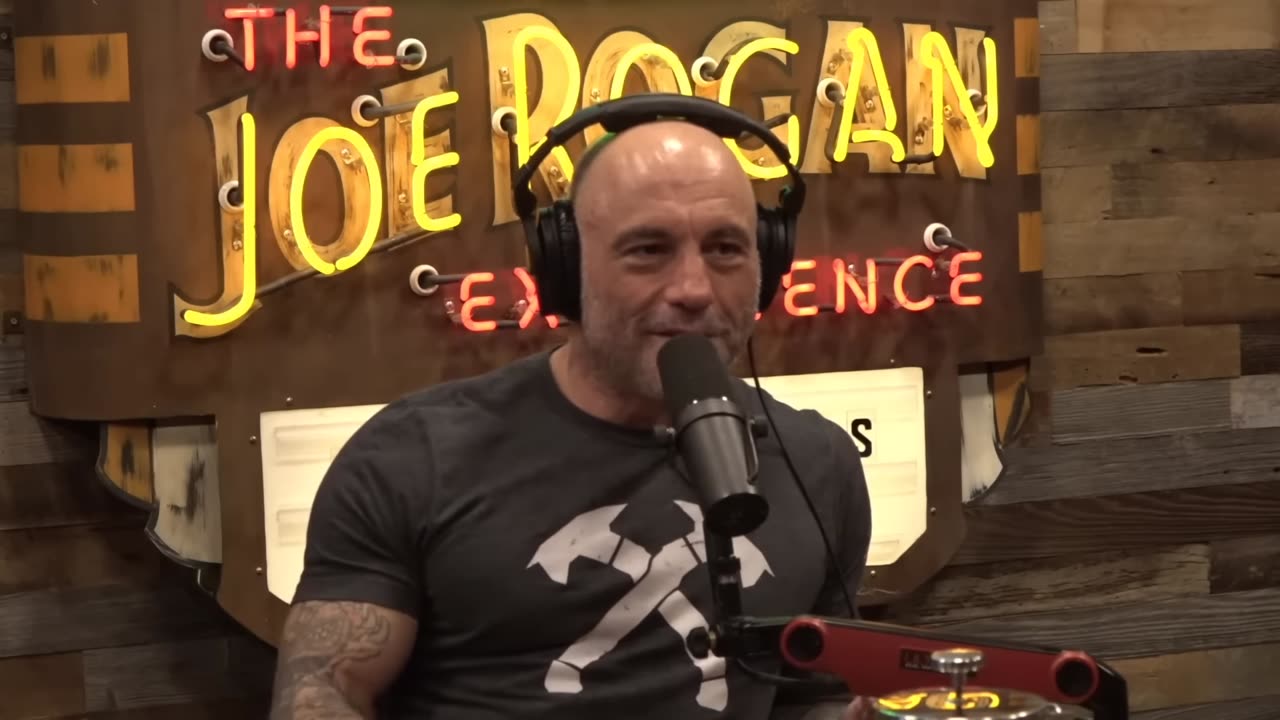 Joe Rogan & Theo: I Had A Revelation On Mushrooms the Other Night