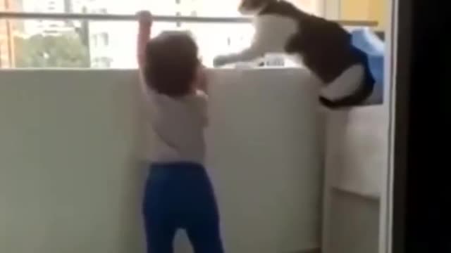 Funniest Cats 😹 - Don't try to hold back Laughter 😂 - Funny Cats Life