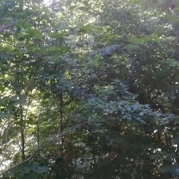 Abandoned mountain house... But closed
