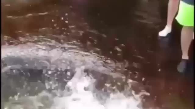 Fanny video