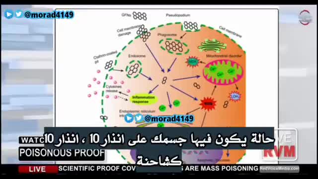 باحثون أسبان اكتشفوا أن اللقاح يحتوي على 99 في المائة من أوكسيد الجرافين السام