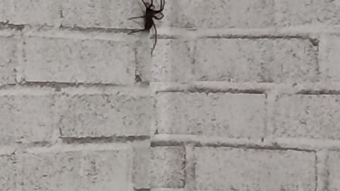 Not a welcome guest 😰