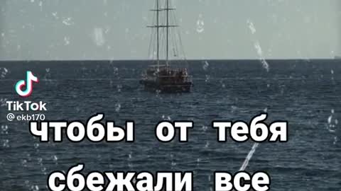 правда жизни