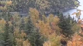 Mountain Top View On a Windy Autumn Day