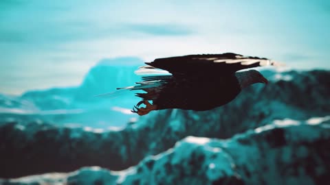 slow motion american bald eagle in flight over alaskan mountains