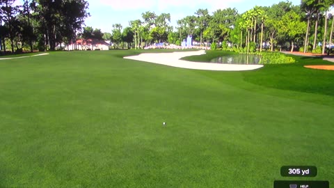The Players Championship: Holes 7 and 17