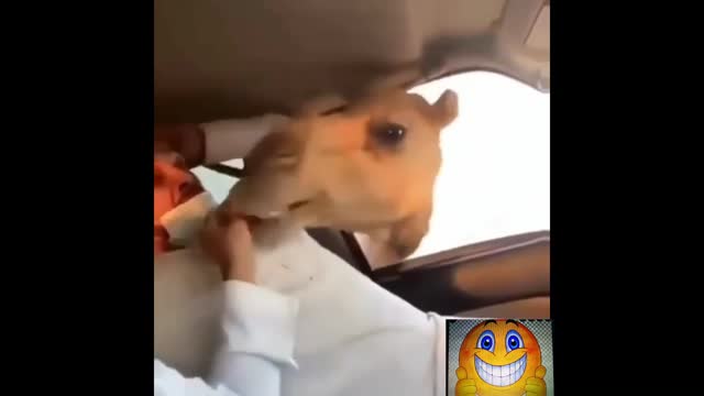 funny man scared