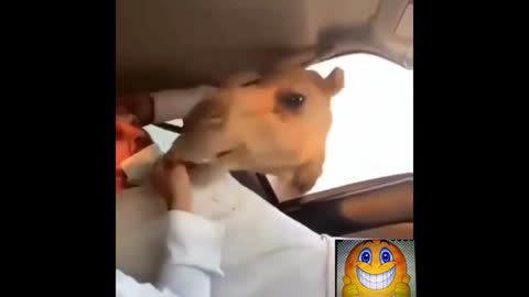 funny man scared