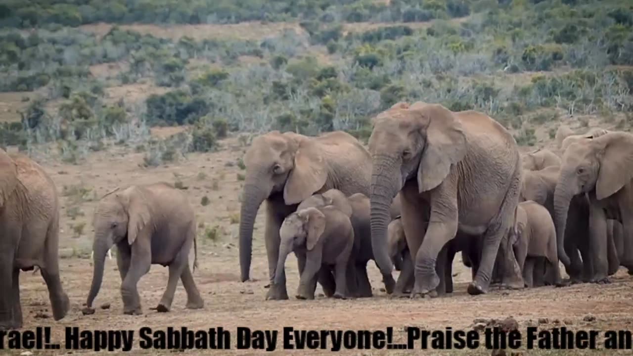 Book of Jeremiah (Chapter 50) Part 1