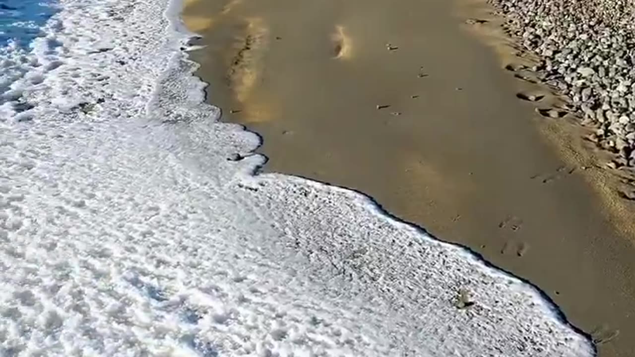 The Waves Turned Into Ice, Argentina
