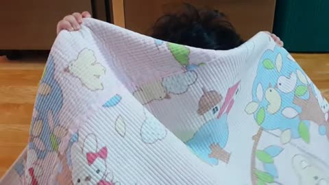 This is a video of a baby having fun playing hide.