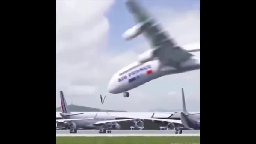 dancing plane with a bird