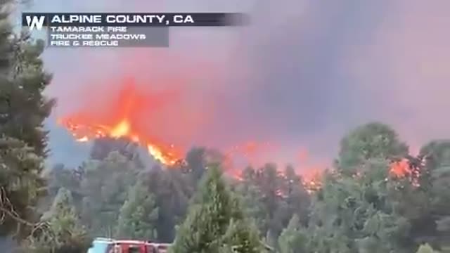 Firewhirl Observed by Firefighters at the Tamarack Fire in Alpine County