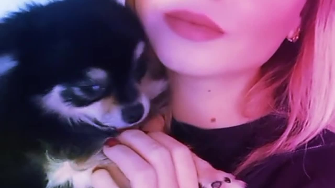 funny video