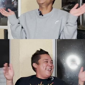 Adventures with horses or dolphins