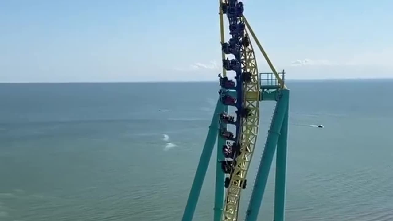 feliz