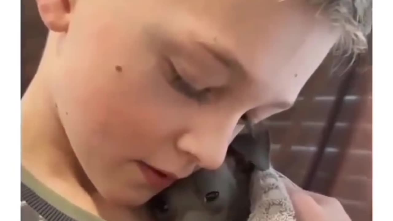 Boy comforting scared cute puppy