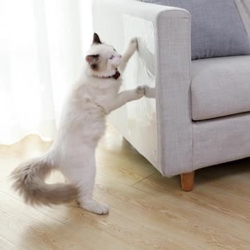 Cat Claw Sofa Protector Furniture Scratching Protect Pads Pets Supplies Shop Shopping