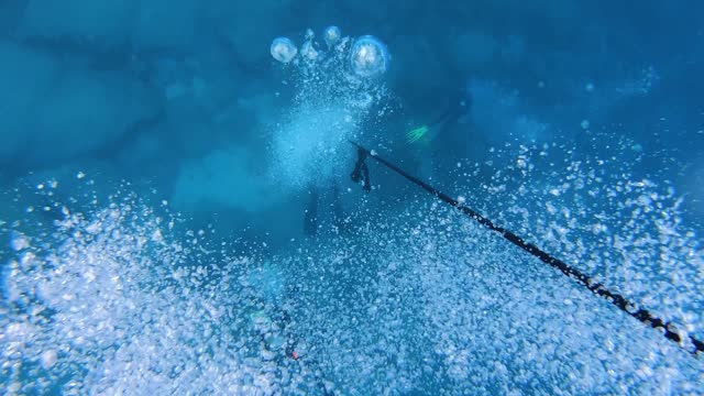 Wonders in the sea.5