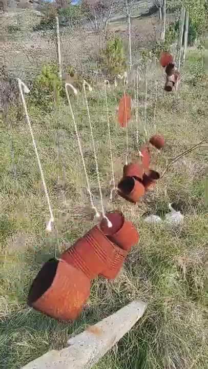Old Utensils Hanged to Scare Animals in the Farms