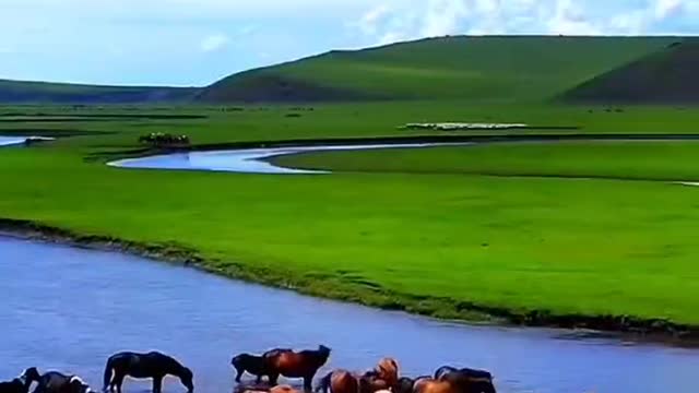 The grasslands and rivers are so beautiful