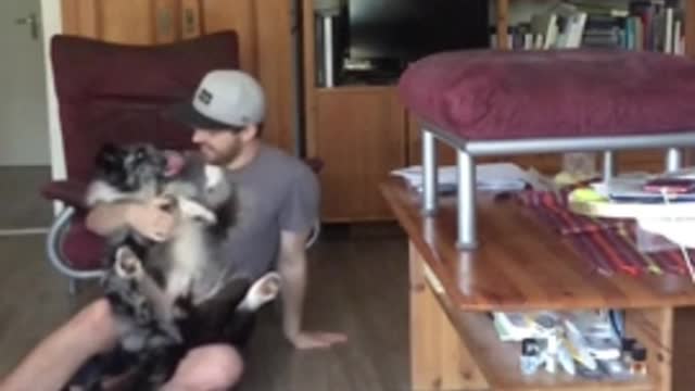 Australian Shepherd performs trustfall with owner in epic slow motion