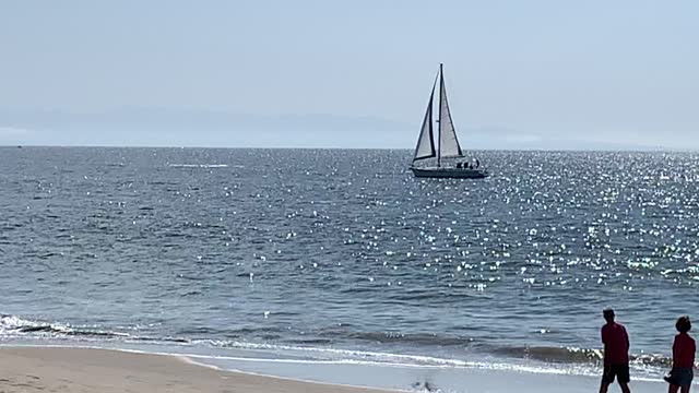 A Whale of a Tail in Santa Cruz, California