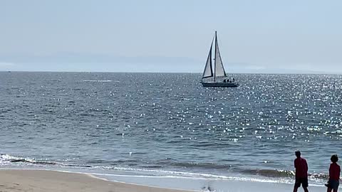 A Whale of a Tail in Santa Cruz, California