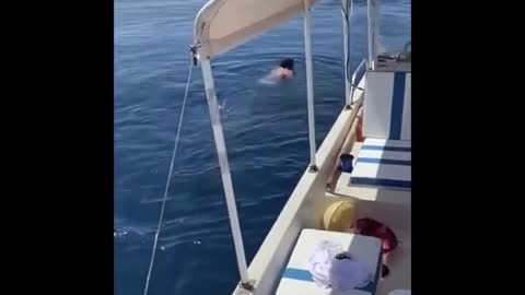 Man jumps on a whale shark and goes for an incredible ride!!