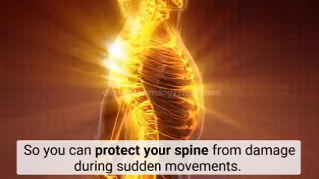 Back Pain Breakthrough