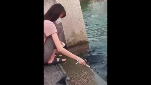 Fed the turtles