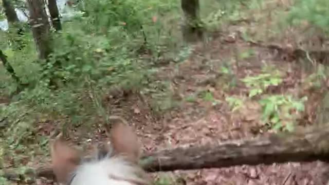 Horseback riding along the River Ridge Trail