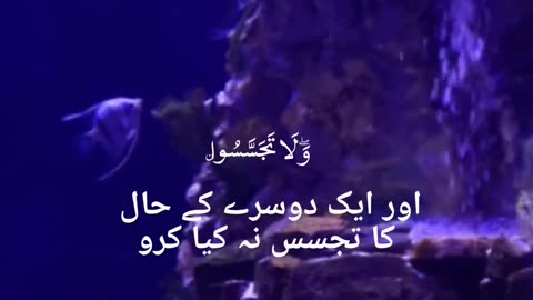 اور اللہ کے اگے ادب سے کھڑے رہا کروSurah Al Baqarah