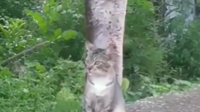 High-end hunters tend to hide themselves best, please look for it carefully