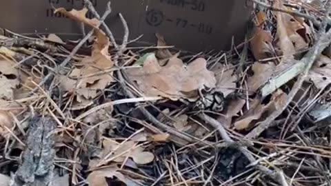 Ukrainian Soldier Disarms Russian Trip Wire Claymore