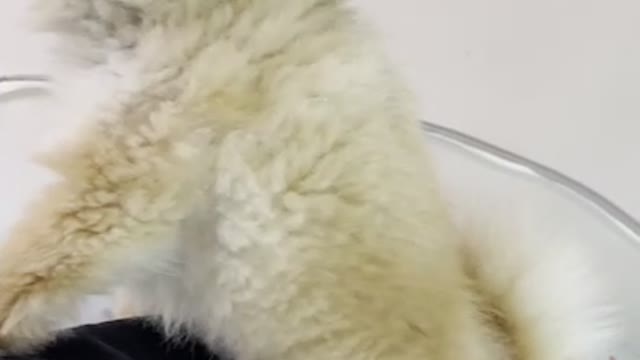 What are you doing holding my leg?