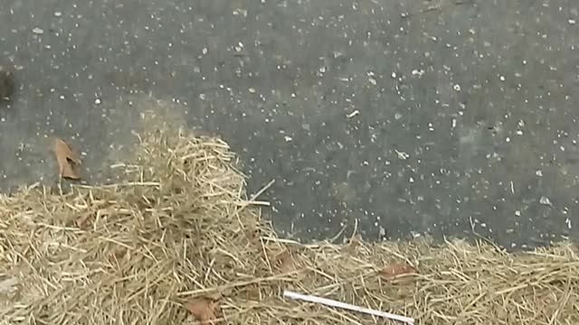The trash that doesn't know where I live isn't a trash can