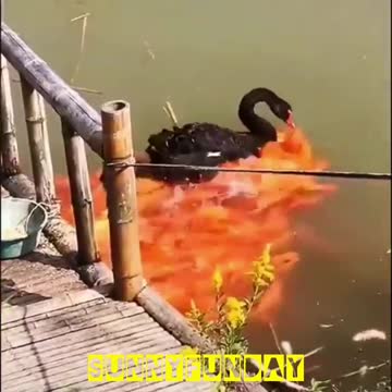 So generous as a good mother