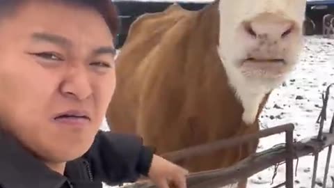 Funny animals 😄 😢 🤣 😀 the day off as