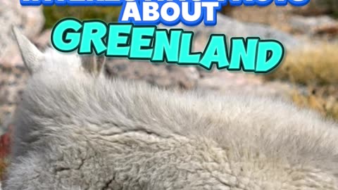 Interesting Facts about Greenland