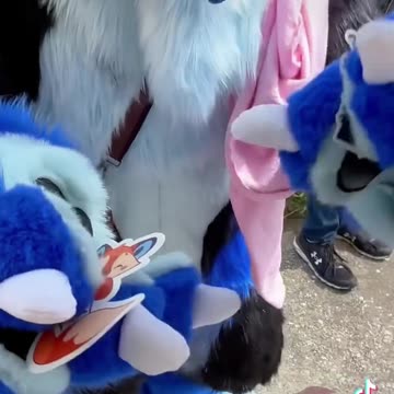 Some friendly Doggos showed up at the food truck!